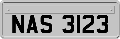 NAS3123