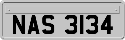 NAS3134