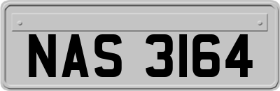 NAS3164