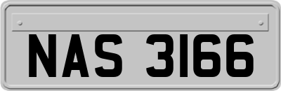 NAS3166