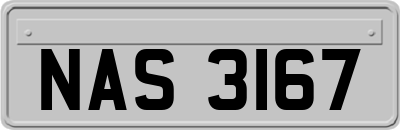 NAS3167