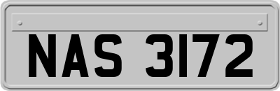 NAS3172