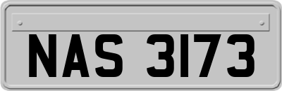 NAS3173