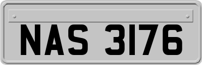 NAS3176