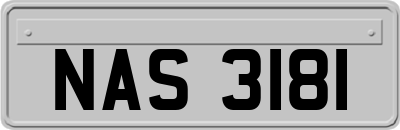 NAS3181