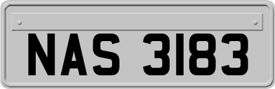 NAS3183