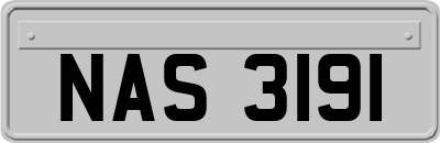 NAS3191