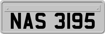 NAS3195