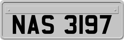 NAS3197