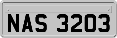 NAS3203