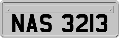 NAS3213