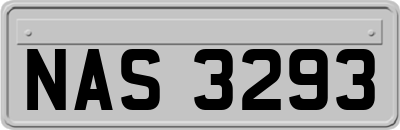 NAS3293