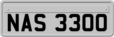 NAS3300