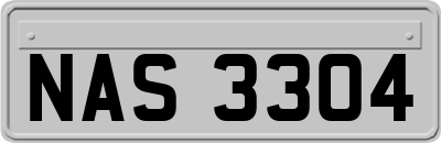 NAS3304