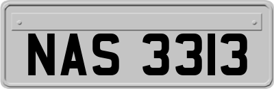 NAS3313