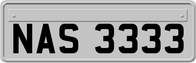 NAS3333