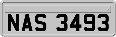 NAS3493