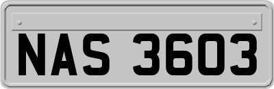 NAS3603