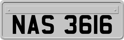 NAS3616