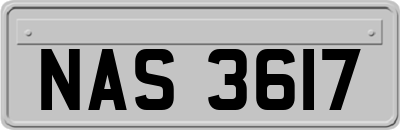 NAS3617