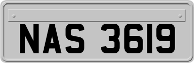 NAS3619