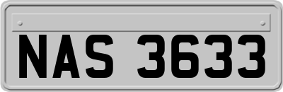 NAS3633