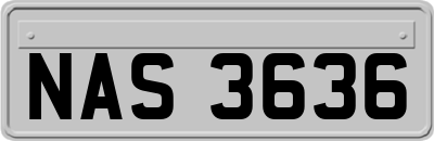 NAS3636