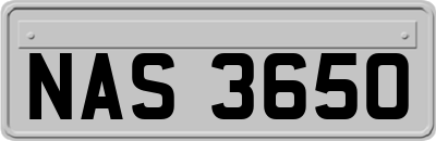 NAS3650