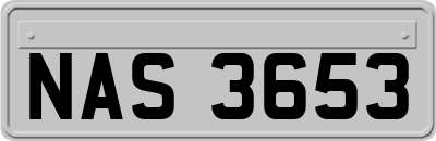 NAS3653