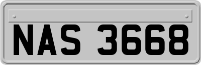 NAS3668