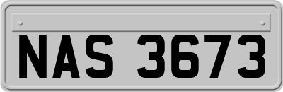 NAS3673