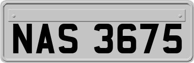 NAS3675