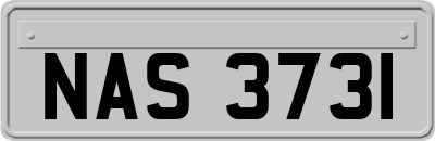 NAS3731