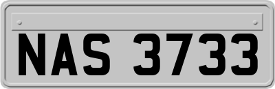 NAS3733