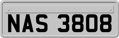 NAS3808