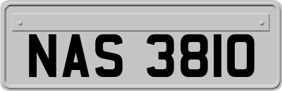 NAS3810