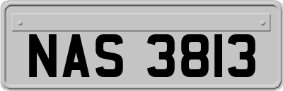 NAS3813