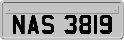 NAS3819