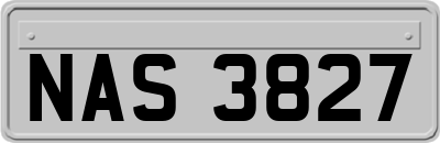 NAS3827