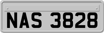 NAS3828