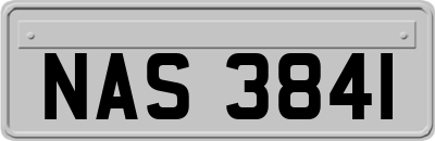 NAS3841