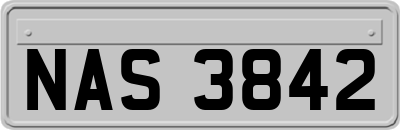 NAS3842