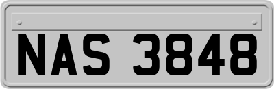 NAS3848