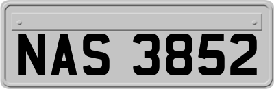 NAS3852