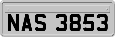 NAS3853