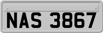 NAS3867