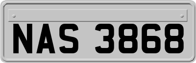 NAS3868