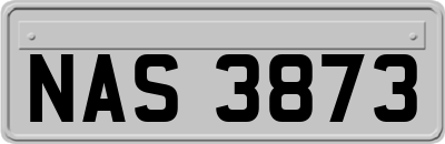 NAS3873