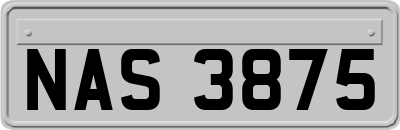 NAS3875