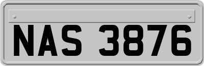 NAS3876